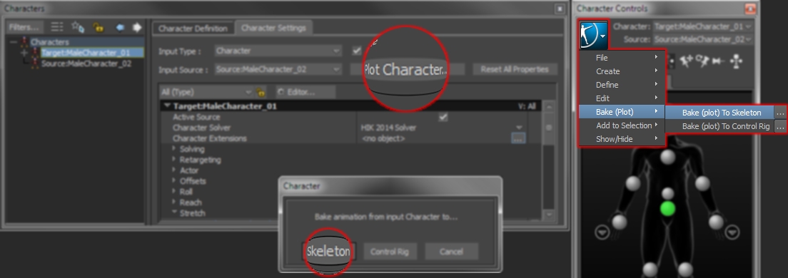 CharacterSettings_PlotCharacter_ToSkeleton