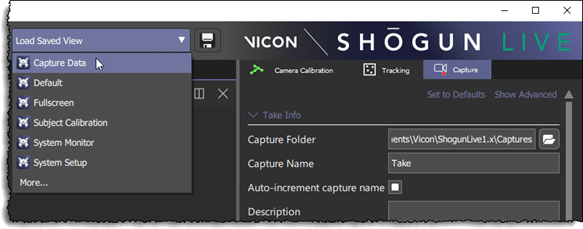 vicon shogun live capture data view