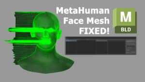 metahuman face mesh in motionbuilder